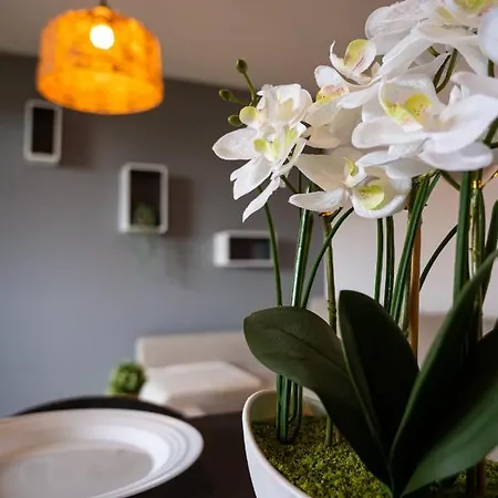 Appartement Cocon Cosy 3 Pers, - So Cozy - Parking